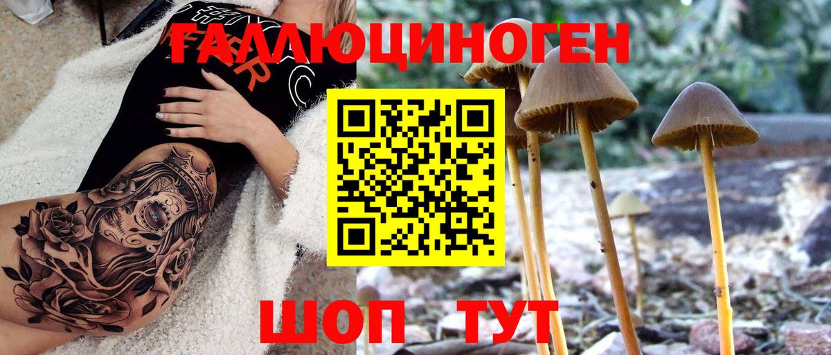 Псилоцибиновые грибы Psilocybe  Галлюциногенные грибы мицелий  Вход с VPN  Реж 