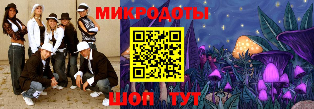 Псилоцибиновые грибы Psilocybe Реж